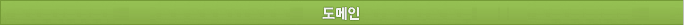 도메인